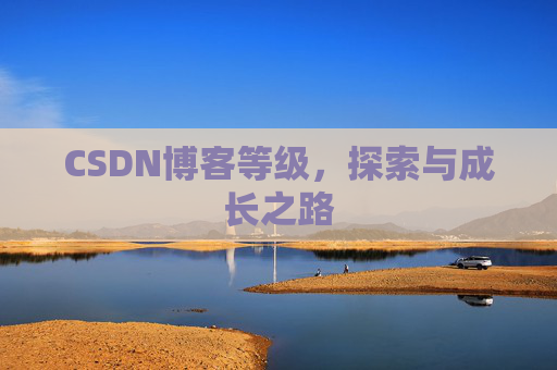CSDN博客等级，探索与成长之路